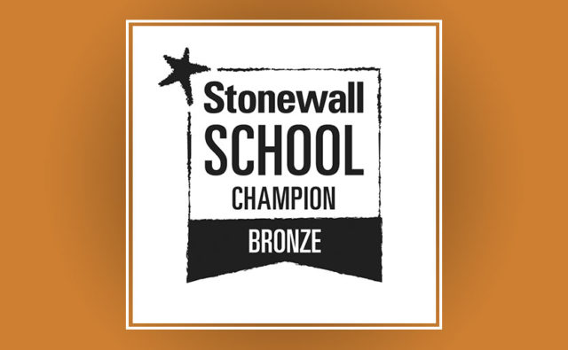 Black and white Stonewall School Champion Bronze logo on a bronze coloured background